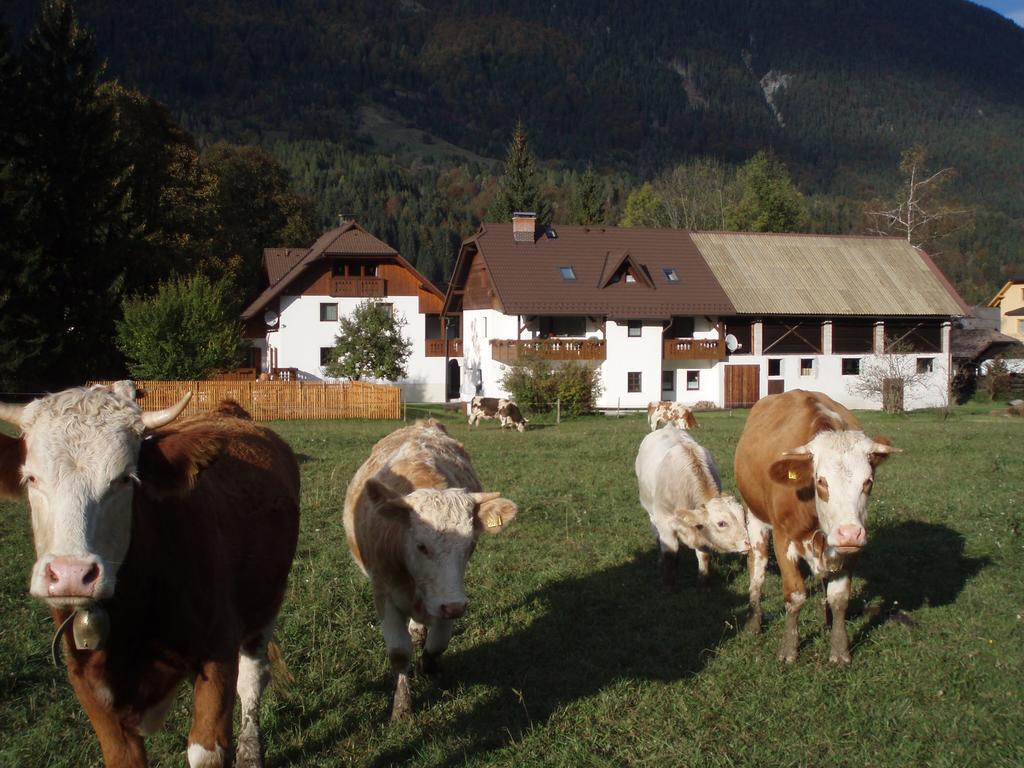 Vila Farm Kosir Kranjska Gora Exteriér fotografie