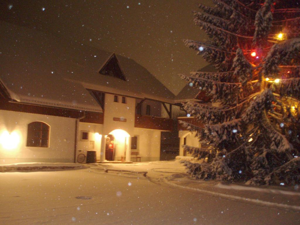 Vila Farm Kosir Kranjska Gora Exteriér fotografie