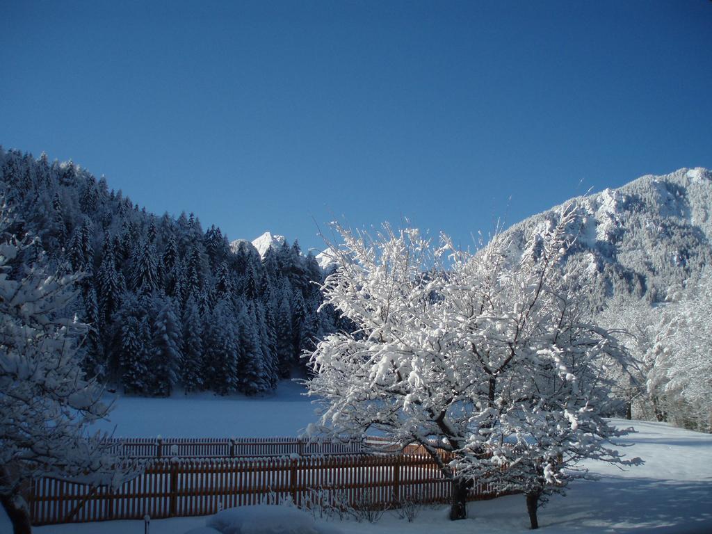 Vila Farm Kosir Kranjska Gora Exteriér fotografie