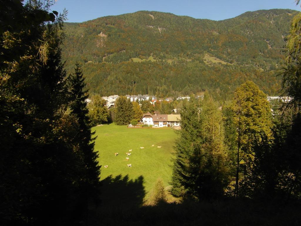 Vila Farm Kosir Kranjska Gora Exteriér fotografie