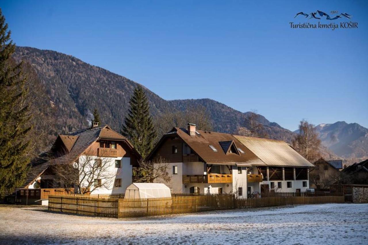 Vila Farm Kosir Kranjska Gora Exteriér fotografie
